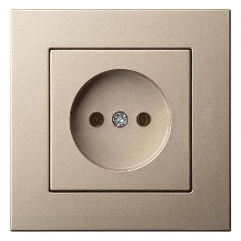 Liregus Socket Epsilon Wo/F Champ. (IKL_16-304-01_E/)
