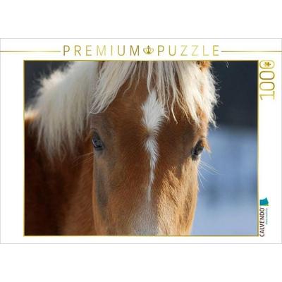 CALVENDO Puzzle Haflinger | 1000 Teile Lege-Größe 64x48cm Foto-Puzzle für glückliche Stunden