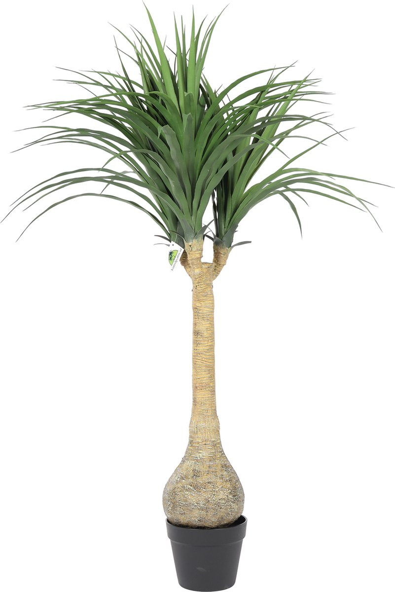 Deluxe Kunst Yucca Rostrata - Groen/Bruin - 125 cm