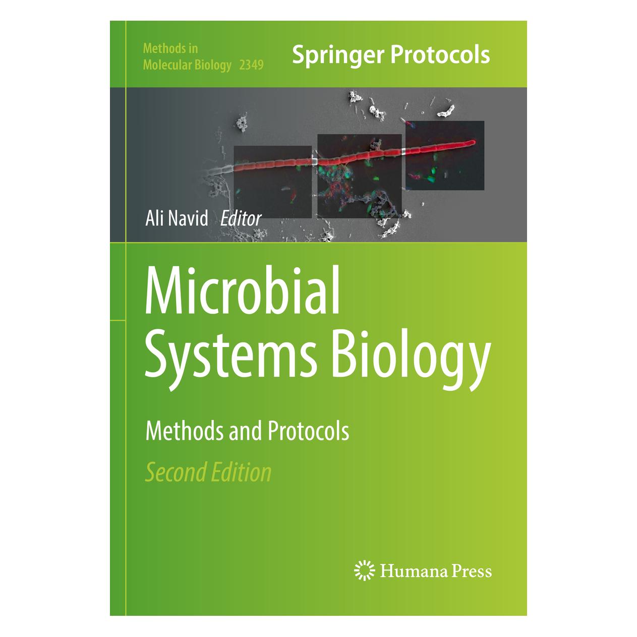 Springer Microbial Systems Biology (Englisch, Softcover, Ali Navid) (56905526)