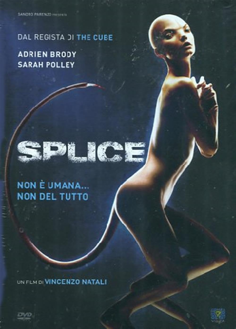 Splice [IT Import] - Preis vom 30.09.2026 09:01:18 h