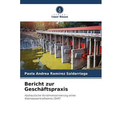 Bericht zur Geschäftspraxis, Taschenbuch von Paola Andrea Ramírez Saldarriaga, Verlag Unser Wissen, 978-620-6-33953-3