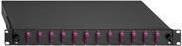 Rutenbeck Basic Line splitsdoos 12xSC-D OM4 type Erika