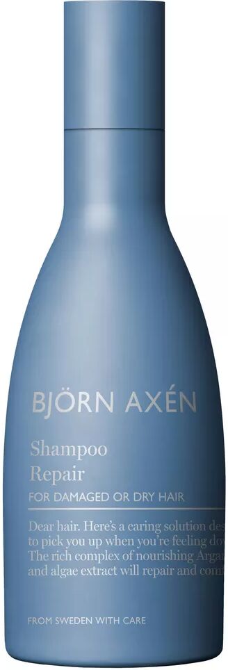 BJOERN AXEN - Björn Axén Repair, 250 ml