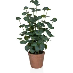 Hjh Office, Kunstpflanzen, Eucalyptus Bonsai (48 cm)