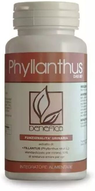Dab 7 Phyllanthus+ 6Cpr