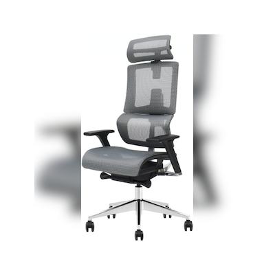 Ergonomischer Bürostuhl / Bürodrehstuhl, höhenverstellbar, Business Chair, 85x33x65, Silber Matt (1 Stück)