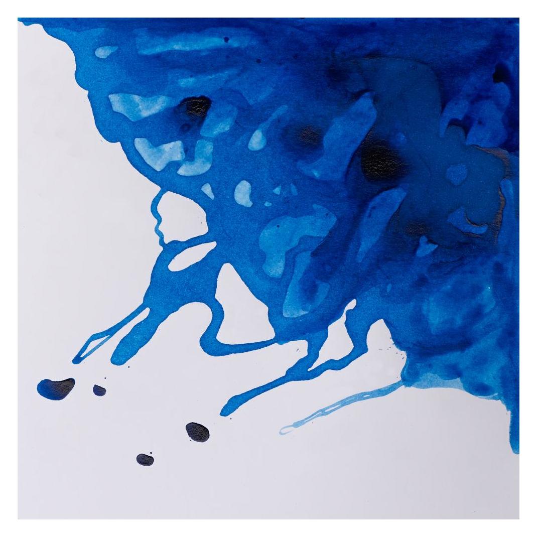 Winsor & Newton Drawing Ink 14ml Cobalt 176 (Blau, 1 Stk.) (1005176)