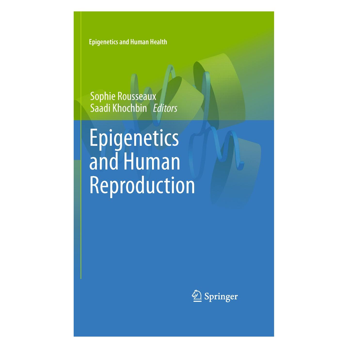 Springer Epigenetics and Human Reproduction (Englisch, Hardcover, Saadi Khochbin, Sophie Rousseaux) (9783642147722)
