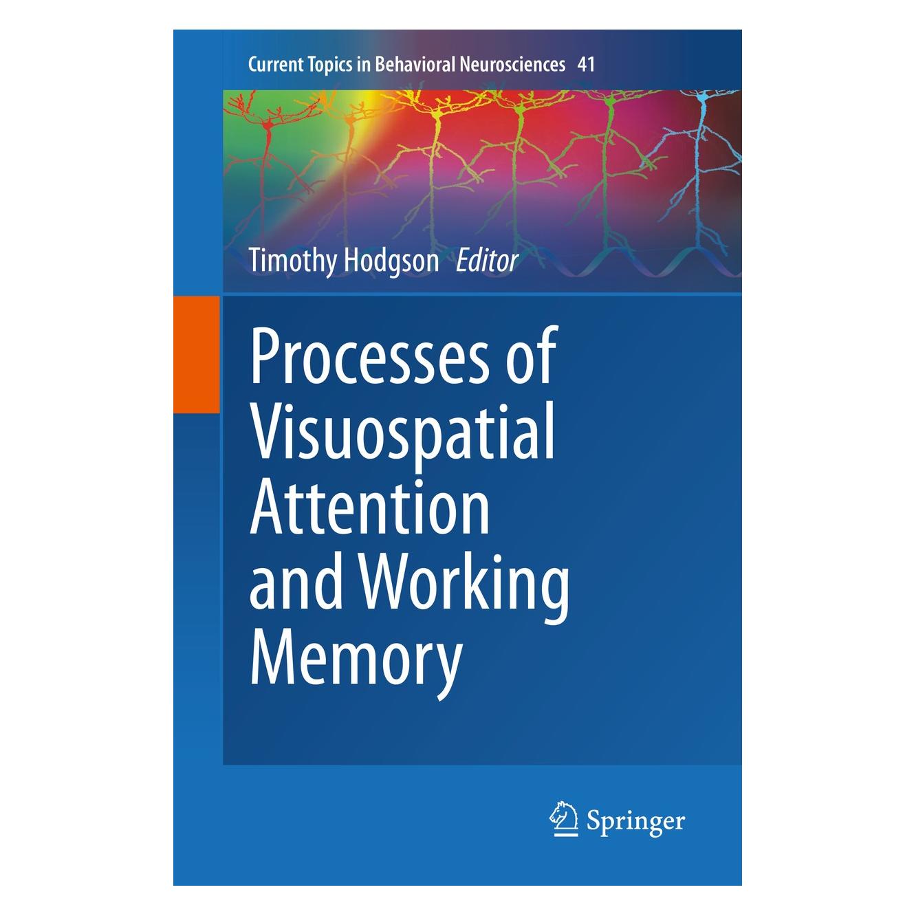 Springer Processes of Visuospatial Attention and Working Memory (Englisch, Hardcover, Timothy Hodgson) (9783030310257)