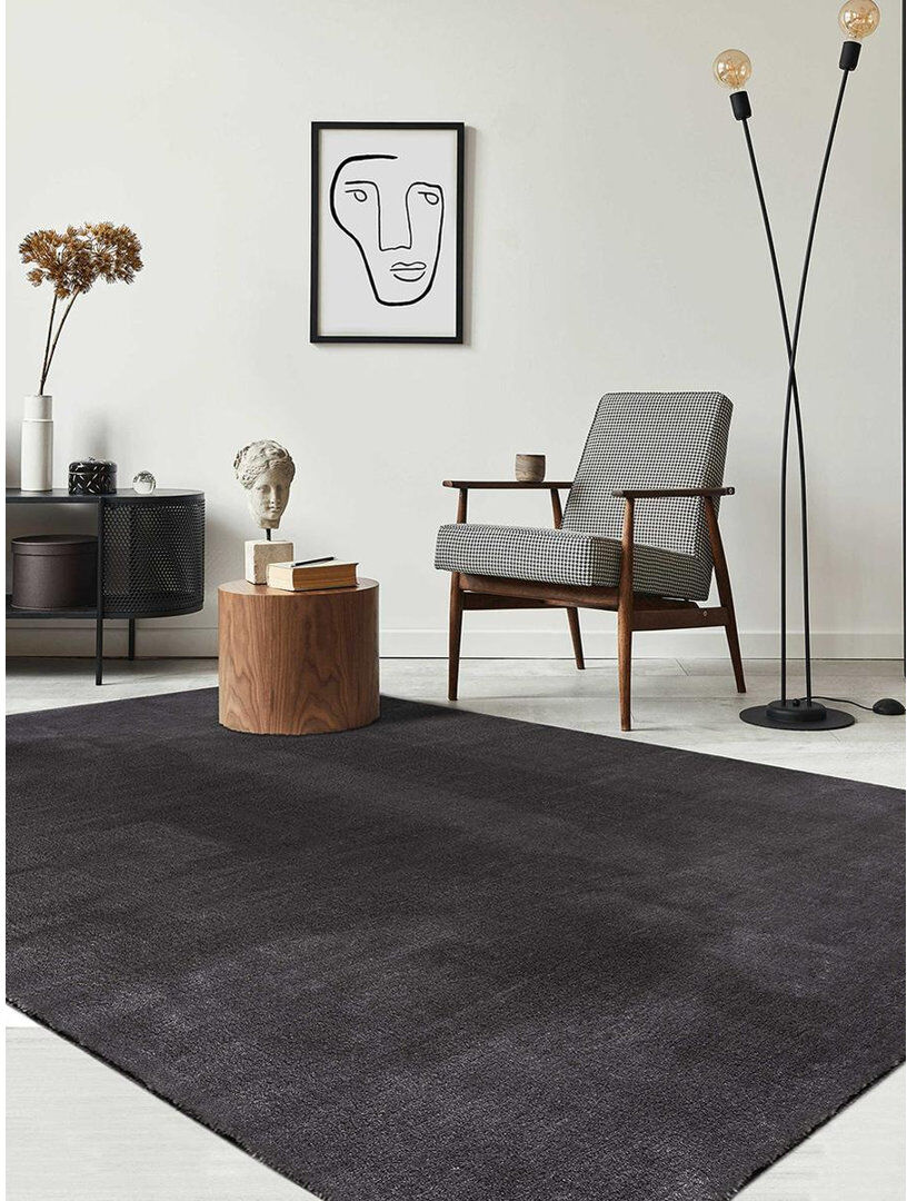 The Carpet Relax - Modern Rug, Fluffy, Short Pile, Non-Slip Underside, Washable up to 30°C, Super-Soft, Fur Look, Anthracite Anthrazit Rectangle 200 x 280cm