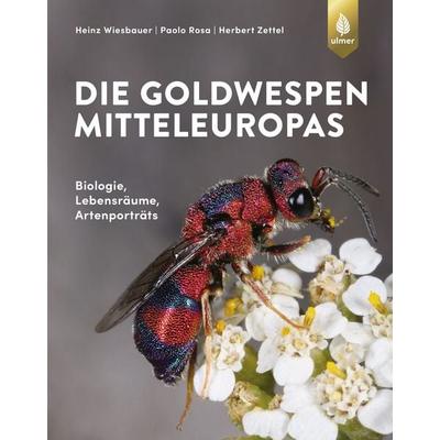 Die Goldwespen Mitteleuropas, Gebundene Ausgabe von Heinz Wiesbauer,Paolo Rosa,Herbert Zettel, Verlag Eugen Ulmer, 978-3-8186-1149-1