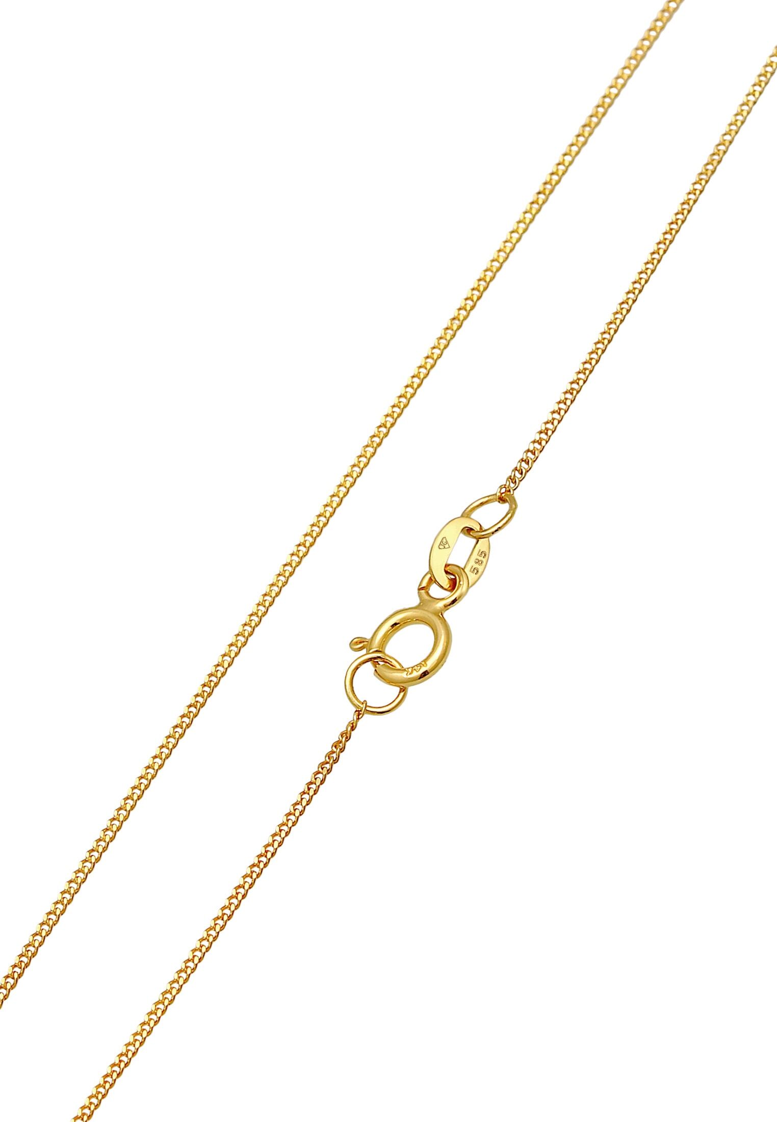 Kette ohne Anhänger ELLI PREMIUM "Halskette Panzkette Basic Klassik 585er Gelbgold" Gr. 40, gold, Halsketten, Damen, ohne Stein, Gelbgold 585