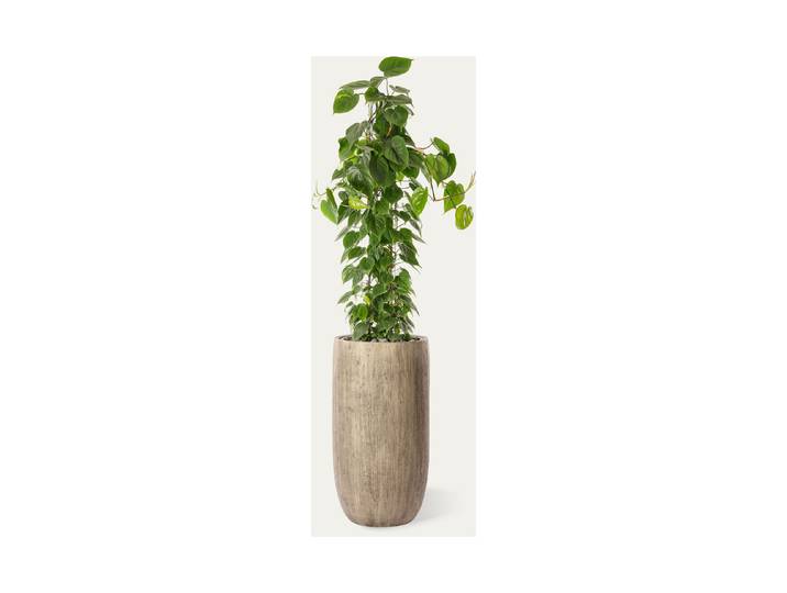 Premium Hydro-Säule ⌀ 40 cm 100 cm