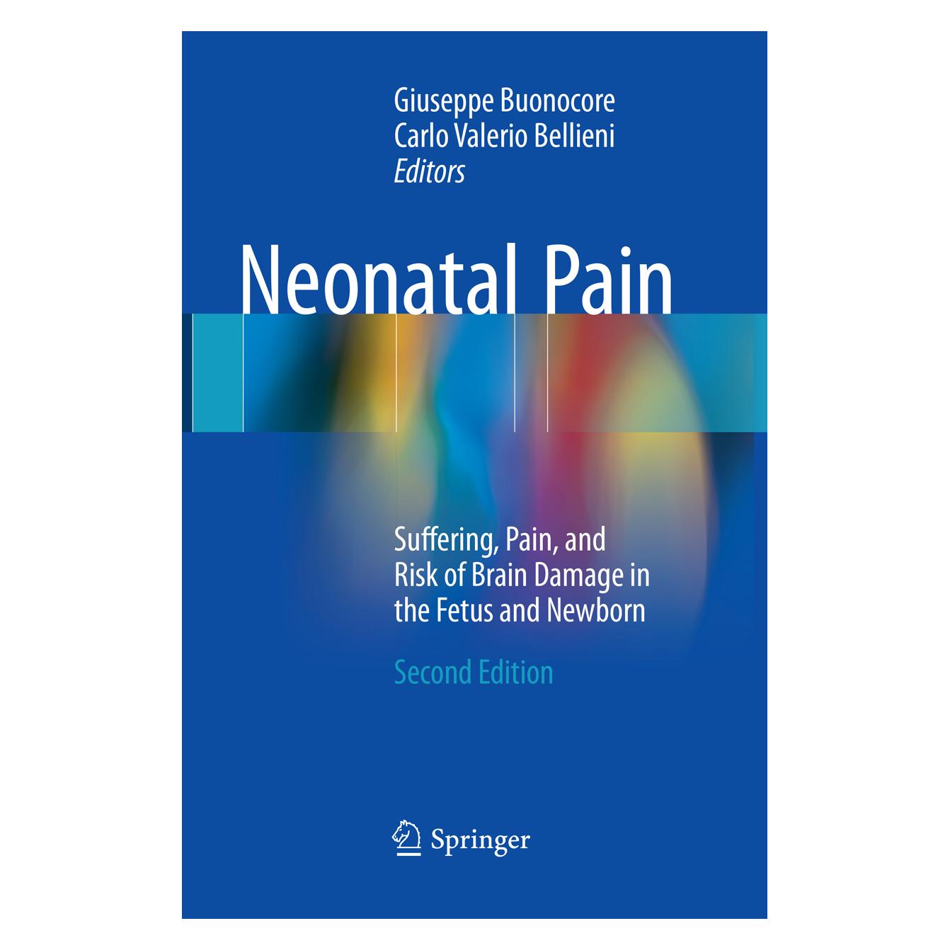 Springer Neonatal Pain (Englisch, Softcover, Carlo Valerio Bellieni, Giuseppe Buonocore) (56053352)
