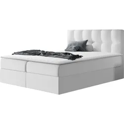 BOXBETT Rico - H3