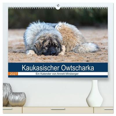 Kaukasischer Owtscharka (hochwertiger Premium Wandkalender 2027 DIN A2 quer), Kunstdruck in Hochglanz