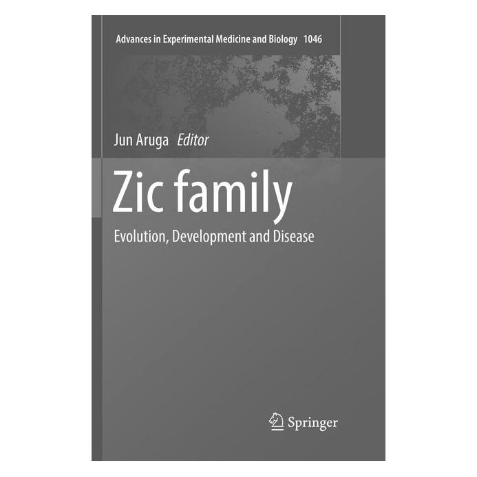 Springer Zic family (Englisch, Softcover, Jun Aruga) (56050088)