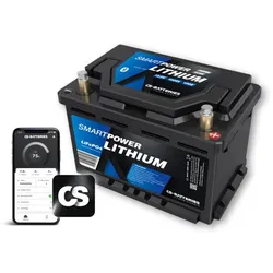 Forster CS 100Ah | 12,8V | 1280Wh | SMART POWER Lithium LiFePO4... - 0% MwST. (Angebot gemäß §12 USt Gesetz.)