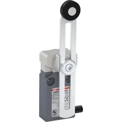 ABB LS20P51B11-U01 Positionsschalter Kunststoff-Geh. grau IP67 Verstellb. Rollenschwenkhebel Polyac 1SBV015951R3801
