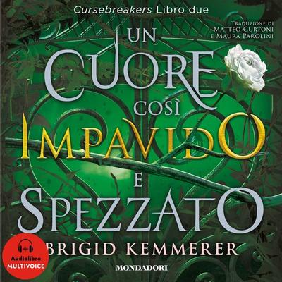 Un cuore così impavido e spezzato - Brigid Kemmerer, Audio, 9788852163326