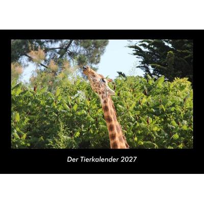Der Tierkalender 2027 Fotokalender DIN A3