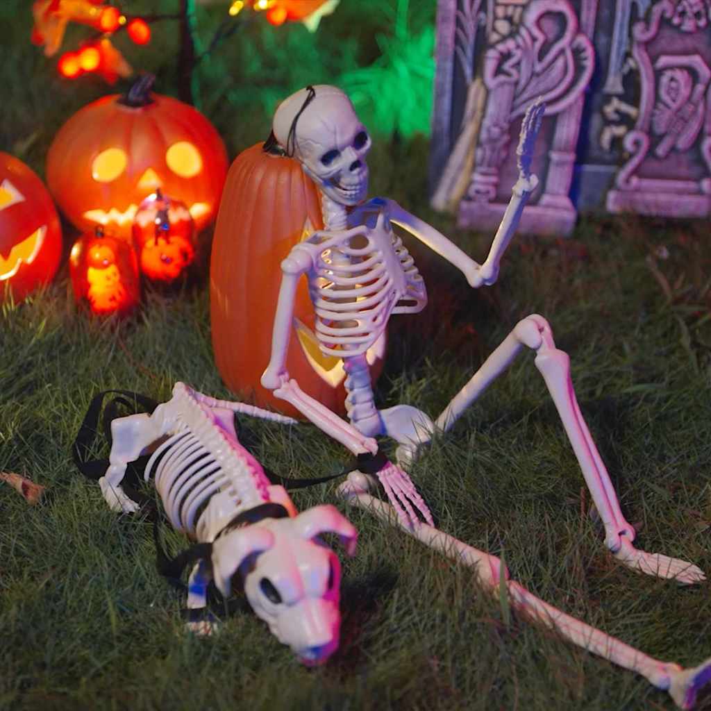 vidaXL Squelette de décoration Halloween 2 pc Blanc 155 x 38.5 cm