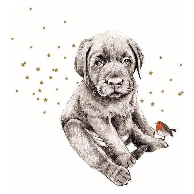 Clear Creations Swarovski quadratische Karte Hund und Vogel (47597202)