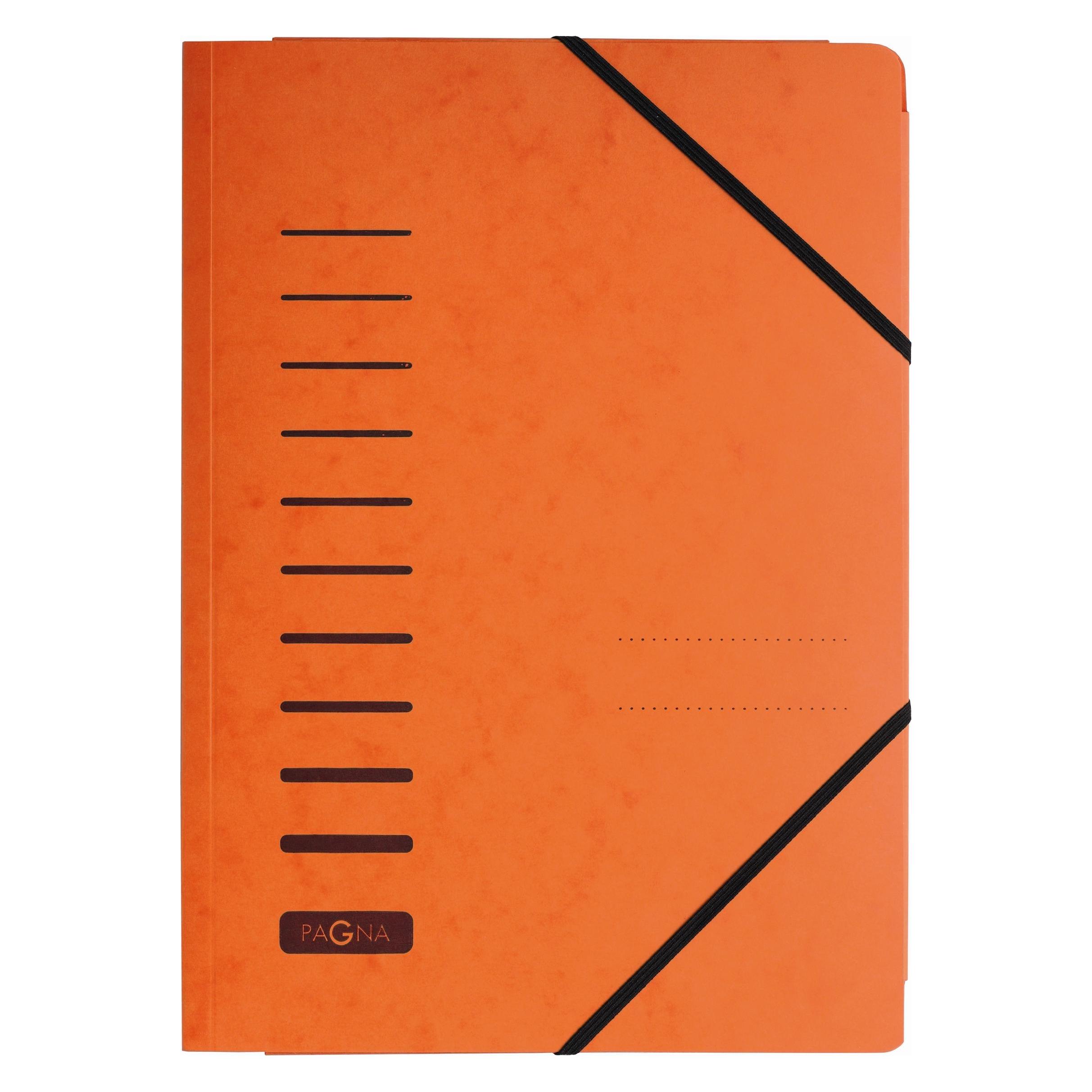 Pagna Gummizugmappe (A4, 1x) (24007-12)