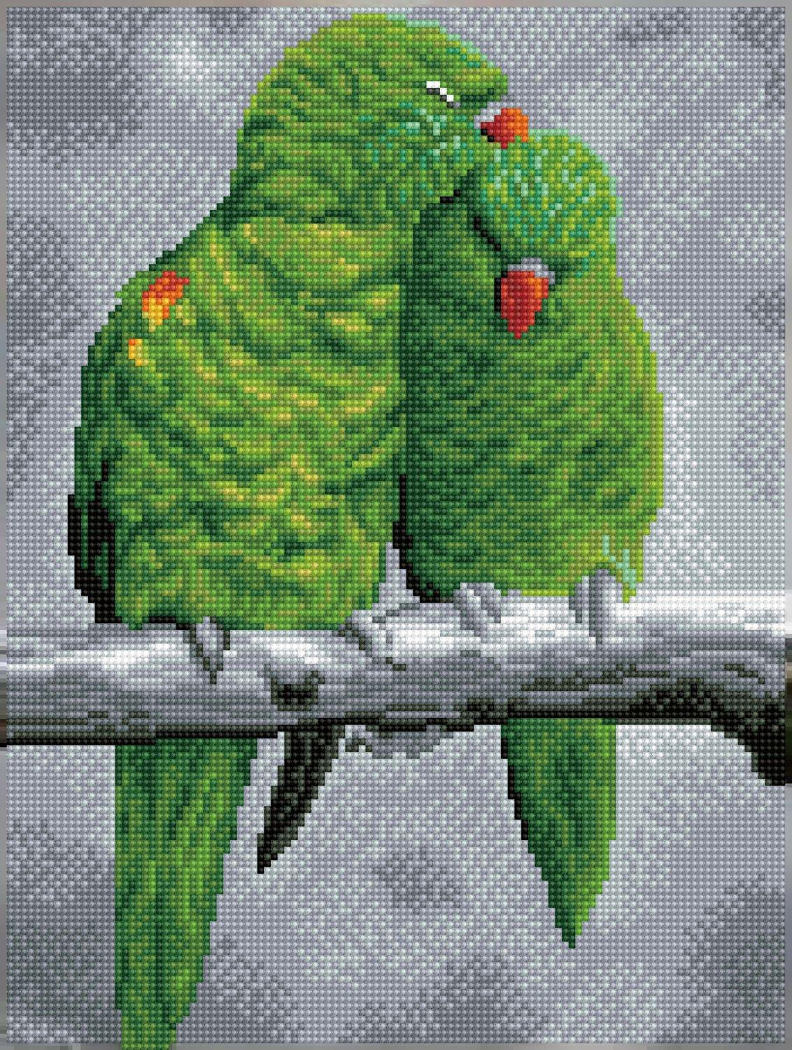 Diamond Dotz Zoete Vogel Diamond Painting Papegaai Meerkleurig