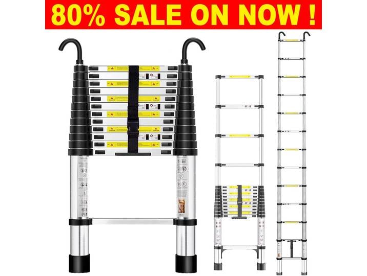 Échelle télescopique pliable de 4,4 m, échelle extensible avec 2 crochets détachables, capacité de charge élevée, échelle robuste pliable pour l'extérieur