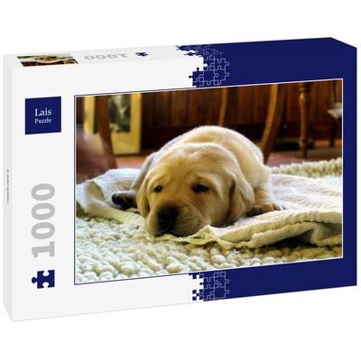 Lais Puzzle Labrador 1000 Teile