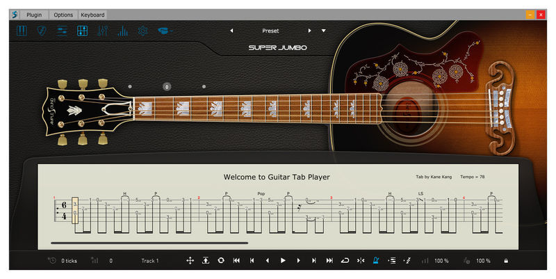 Ample Sound Ample Guitar SJ