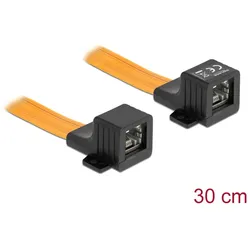 DeLOCK RJ45 FPC (Flexible Printed Circuit) Fensterdurchführung 30 cm