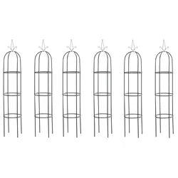 CLP 6er Set Rosensäule Romantika, schwarz