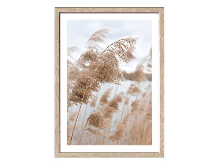Image en bois Dans la brise Verre flotté, MDF Bleu/Marron 33 x 43 x 1cm