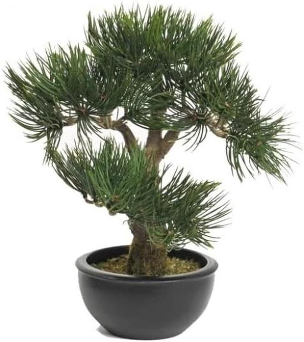 Kunstplant Bonsai Groen met Pot - 33 cm