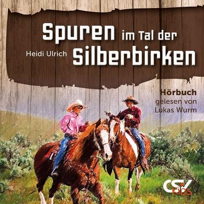 Spuren im Tal der Silberbirken - Heidi Ulrich, Audio, 9783892874898