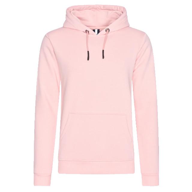 Hønk Zalm hoodie