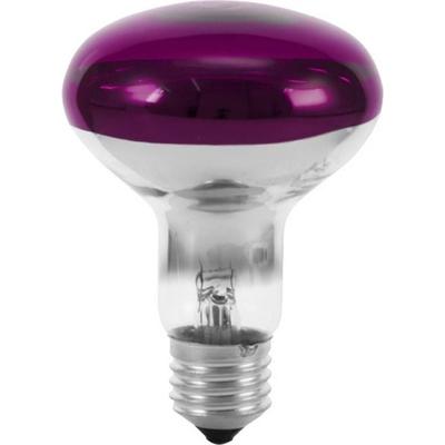 Eurolite 9210440U Glühlampe E27 Reflektor 60W Violett (Ø x L) 80mm x 110mm 1St.
