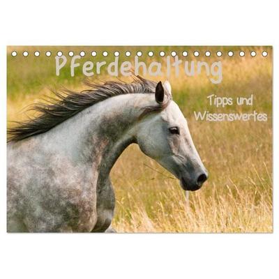 Pferdehaltung Tipps und Wissenswertes (Tischkalender 2026 DIN A5 quer), CALVENDO Monatskalender
