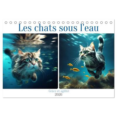 Les chats sous l'eau (Calendrier de bureau 2026 DIN A5 vertical), CALVENDO calendrier mensuel