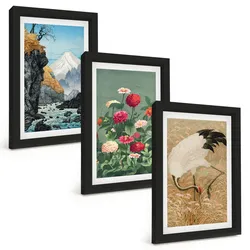 BILDER SET 3er Set - 20x30 cm Schwarzer Rahmen - Berglandschaft, Fluss, Blumen, Kraniche