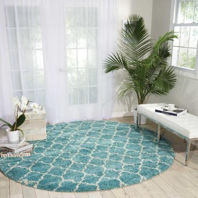 Nourison Amore Shag Area Rug