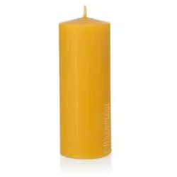 Wiedemann Kerzen Natur 100% Bienenwachs Stumpen 120 x 60 mm, 8 Stück