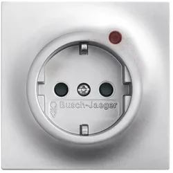 Busch-Jaeger Steckdosen-Einsatz alusil 2310EUGL/VA-783-11