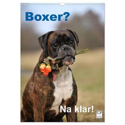 Boxer? Na klar! (Wandkalender 2027 DIN A3 hoch), CALVENDO Monatskalender