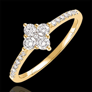 Edenly Ring Frische - Dina - 18 Karat Gelbgold und Diamanten