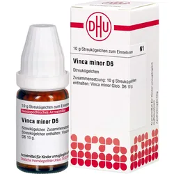 Vinca Minor D 6 10 G