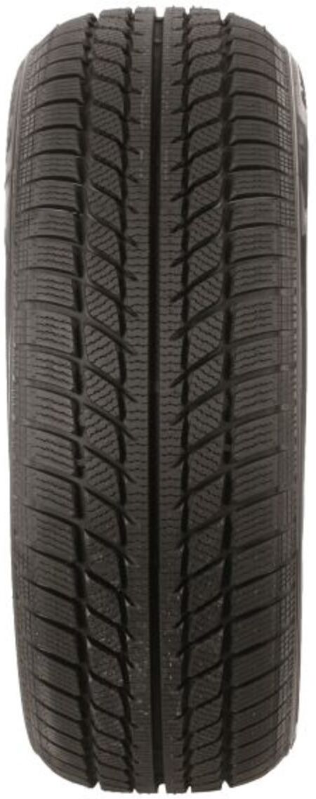 Winterreifen TRAZANO SW608 205/55R16 91H